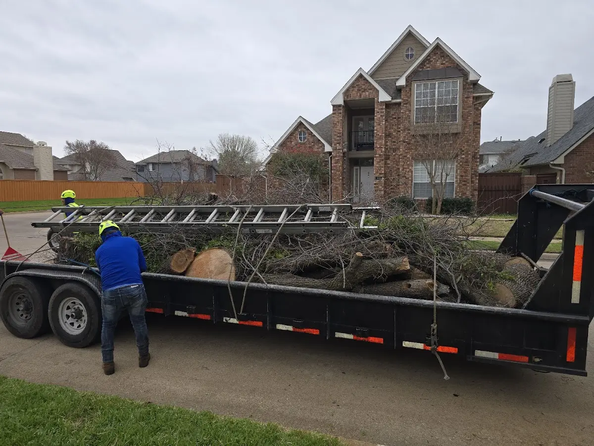 Expert Tree Removal with proper safety equipment in Church Point